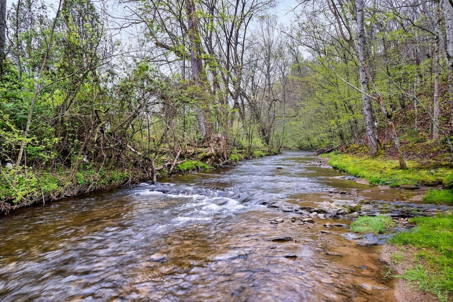 Vila 1 Mile To Pkwy, Pets, Hot Tub, Creekside, Porch Pigeon Forge Exteriér fotografie
