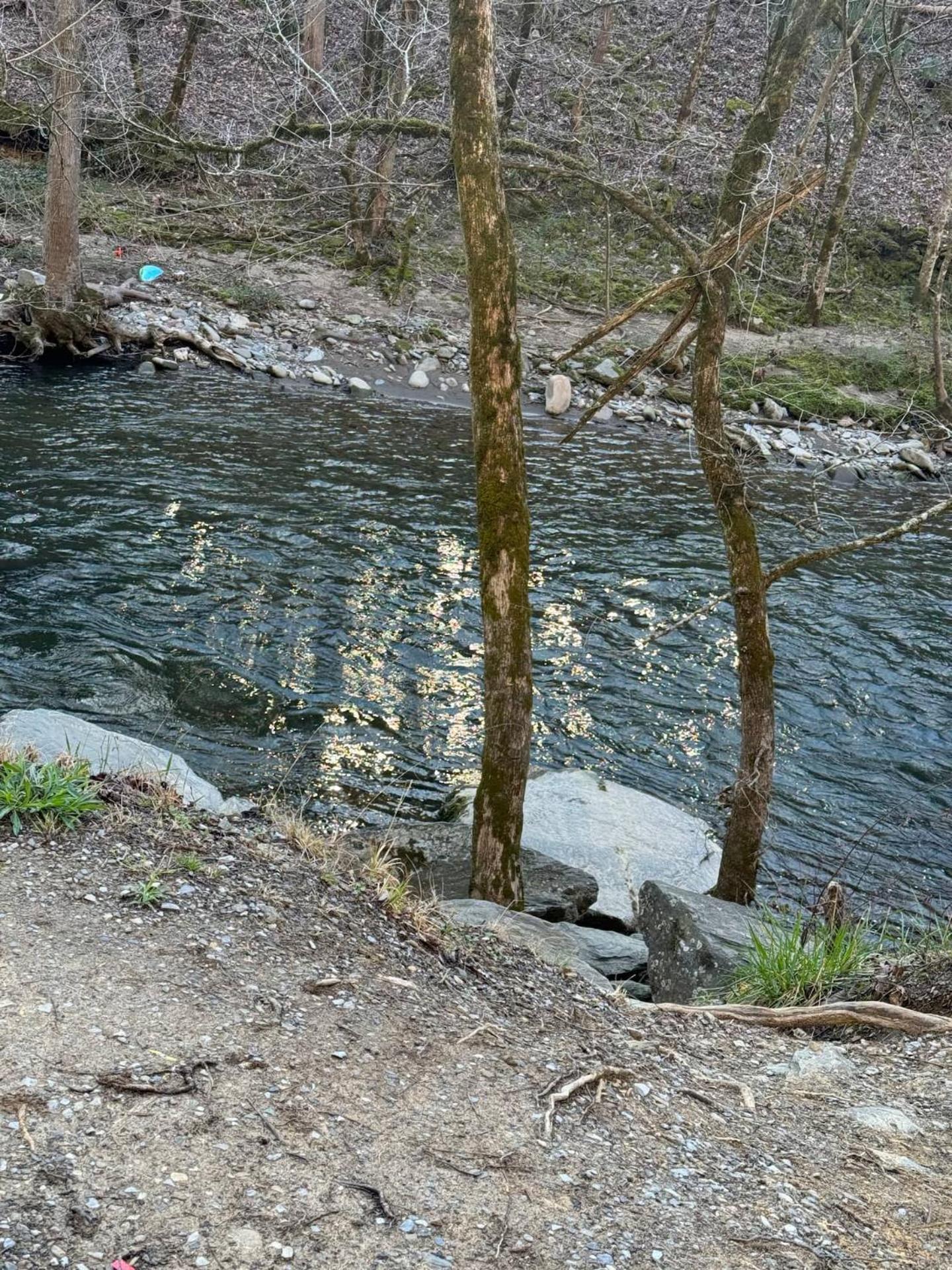 Vila 1 Mile To Pkwy, Pets, Hot Tub, Creekside, Porch Pigeon Forge Exteriér fotografie